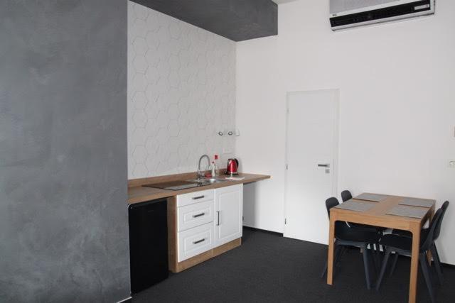 Apartment Downtown Plzen
