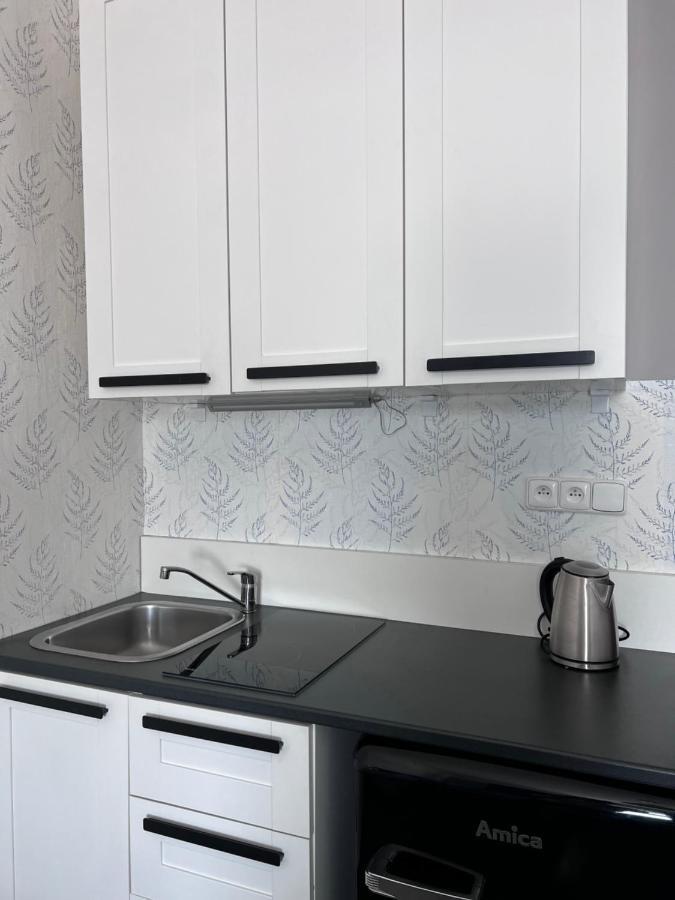 Downtown Apartment Plzen